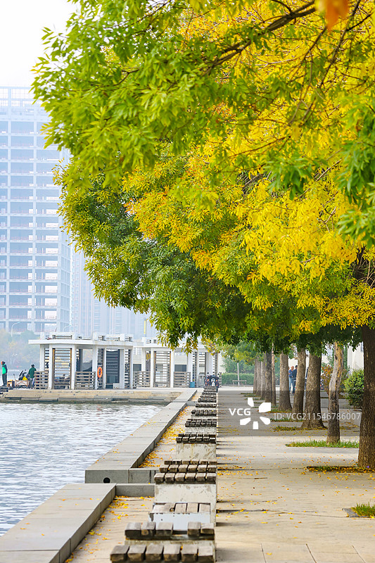 天津，名创优品MINISO图片素材