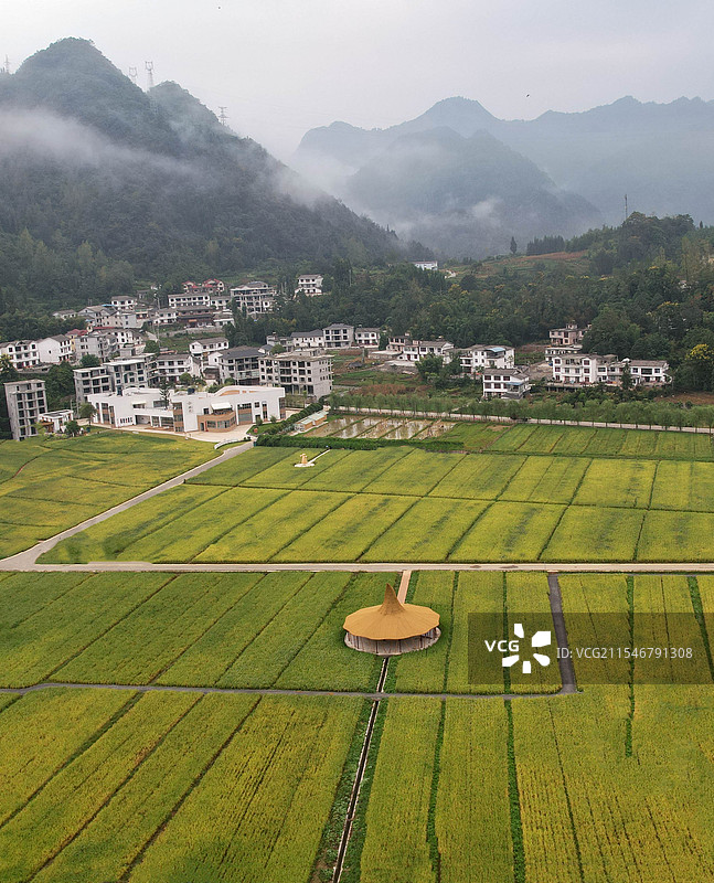 航拍湖北恩施市白果乡观音塘风景区的稻谷熟了图片素材