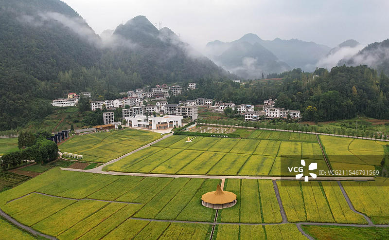 航拍湖北恩施市白果乡观音塘风景区的稻谷熟了图片素材