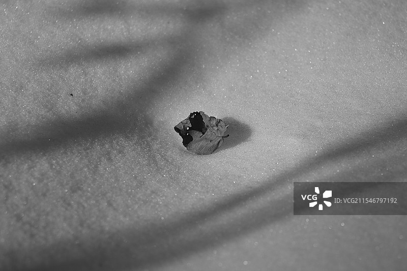 冬季的光与影 户外静物摄影图片素材