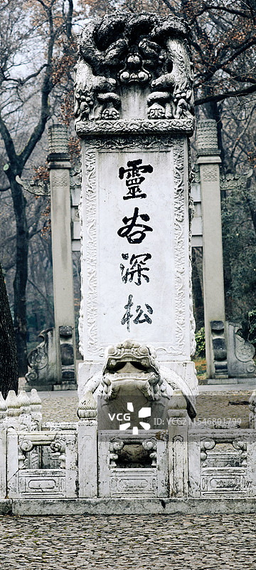 南京钟山风景区灵谷景区灵谷深松冬日景观图片素材