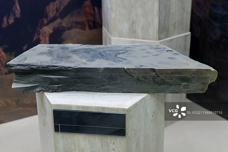 页岩 烟台栖霞产 山东省地质博物馆图片素材