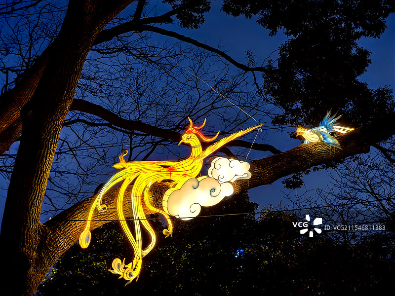 上海古漪园迎春花灯枝头上的凤凰图片素材