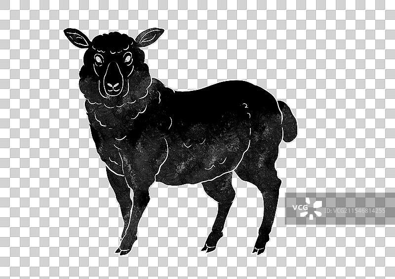 一只绵羊动物手绘插画元素图片素材