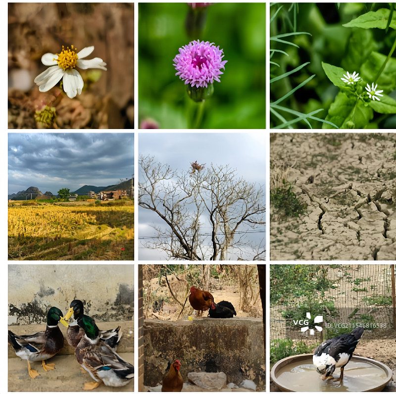 农家气息扑面而来！图片素材