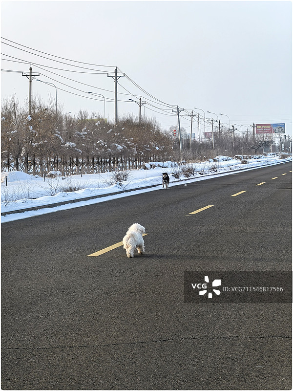 立春.雪18图片素材