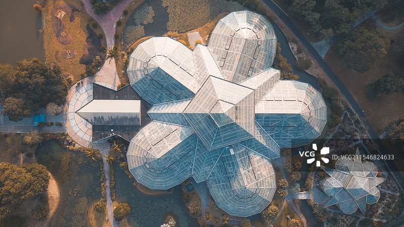 华南植物园图片素材