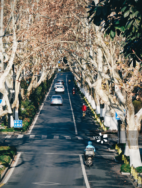 杨公堤图片素材