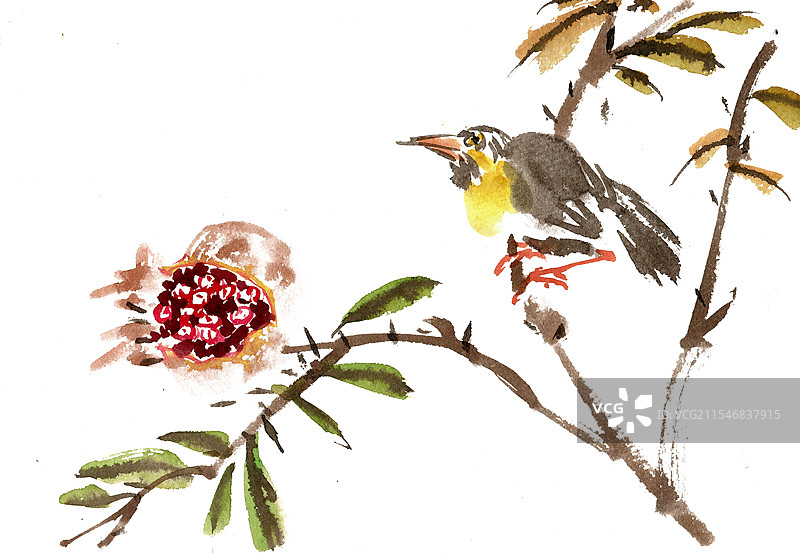 石榴与小鸟图片素材