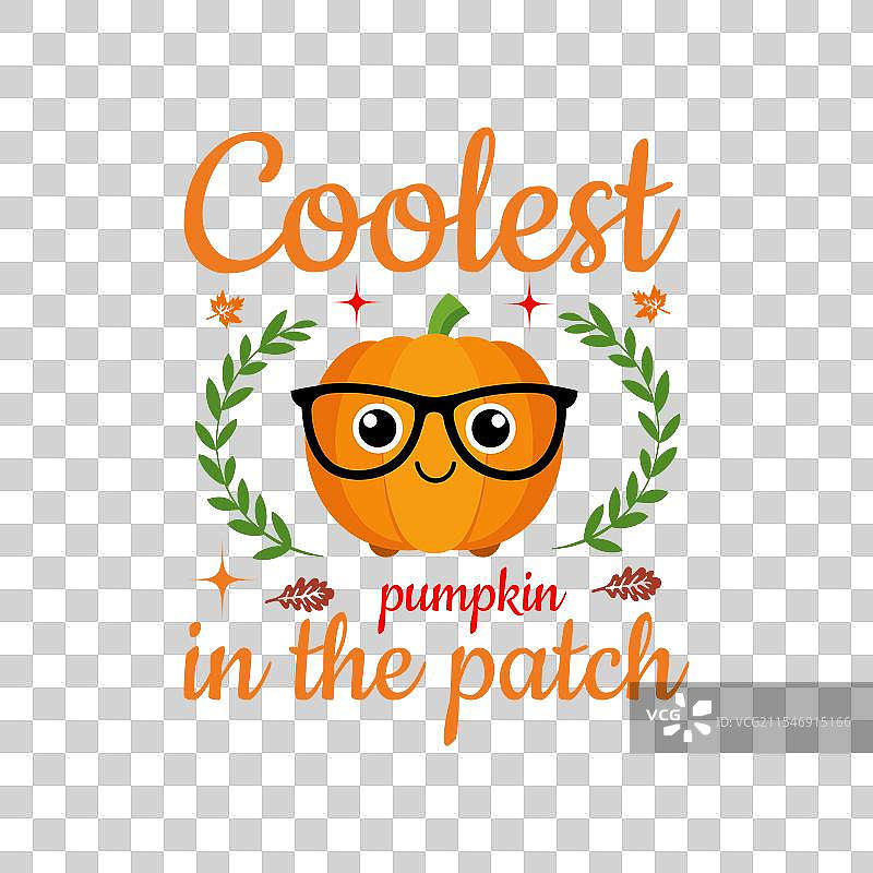 南瓜地里最酷的南瓜 感恩节图片素材