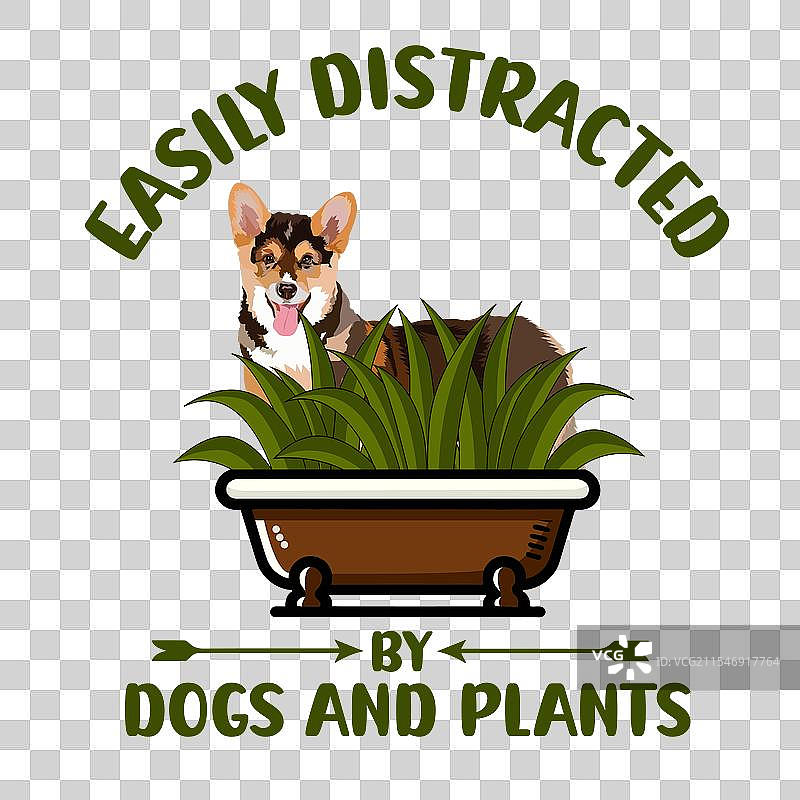 容易被狗和植物分心图片素材