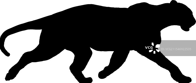 美洲豹的剪影图片素材