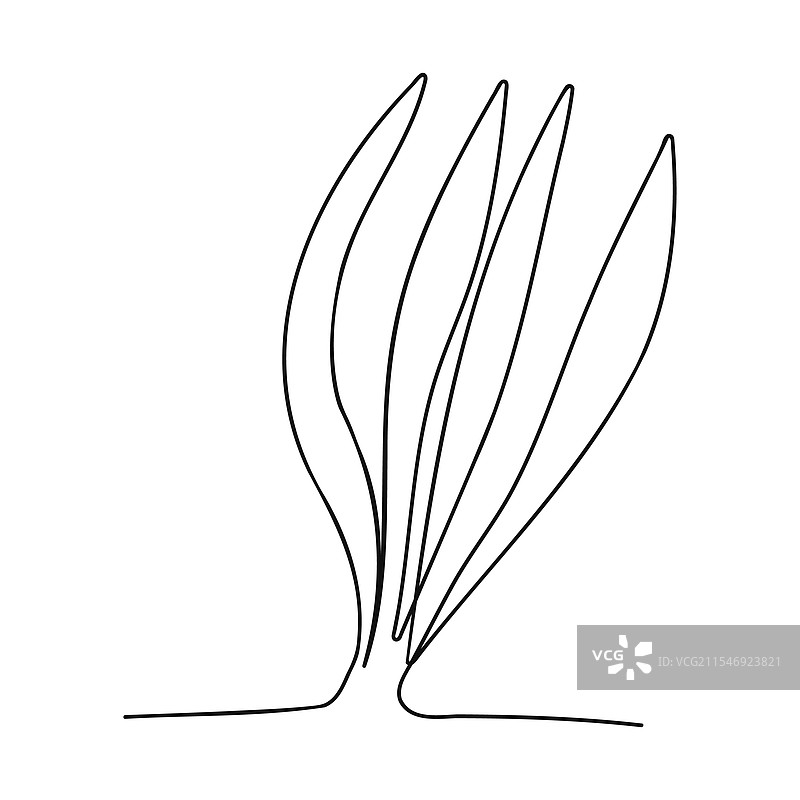 手绘单线草图图片素材