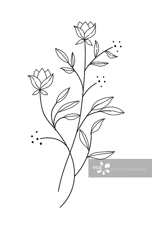 手绘的带叶小枝，采用植物风格图片素材