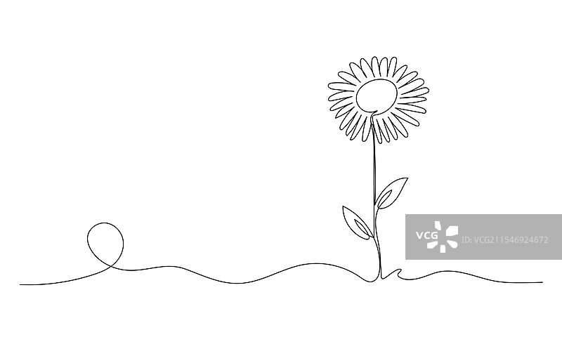 一笔连画的手绘向日葵图片素材