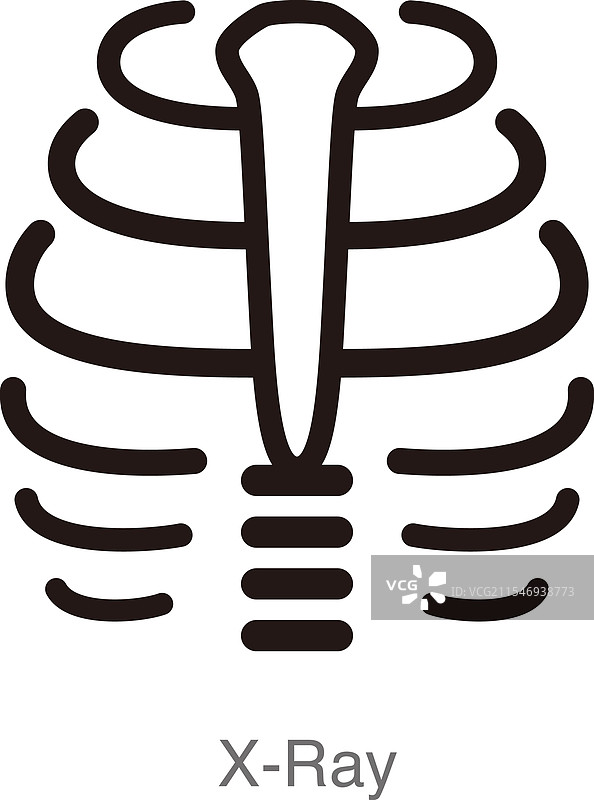 人类器官肋骨架平面图标X光图像图片素材