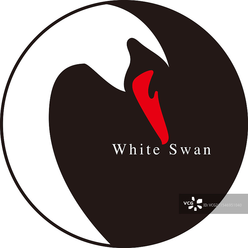 白天鹅的羽毛图片素材