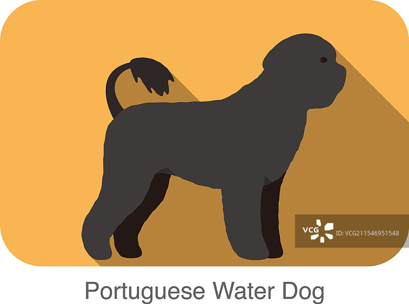葡萄牙水犬品种扁平图标设计图片素材