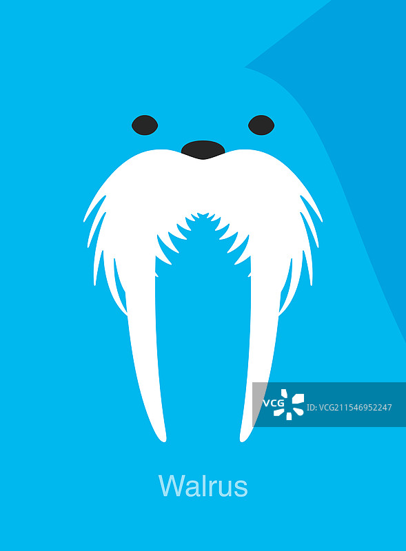 海象面孔图标图片素材