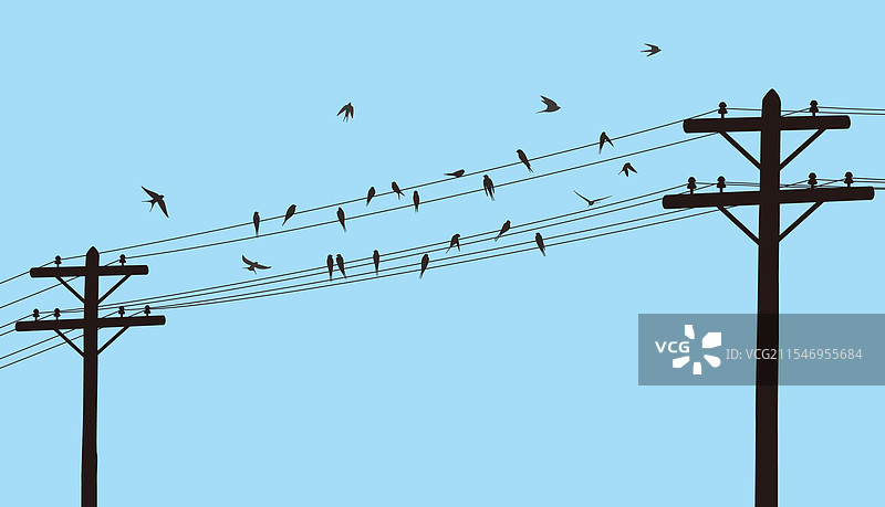 电线上栖息的燕子群图片素材