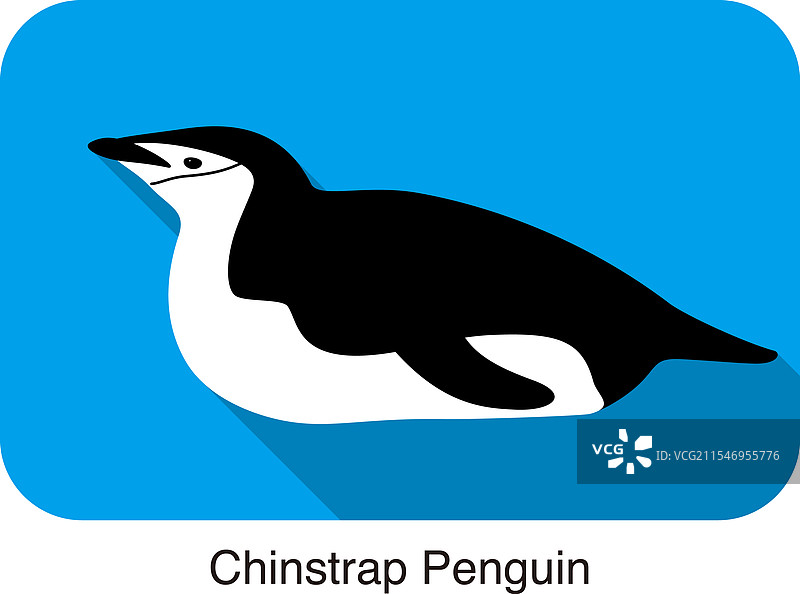 温带企鹅躺在地上图片素材