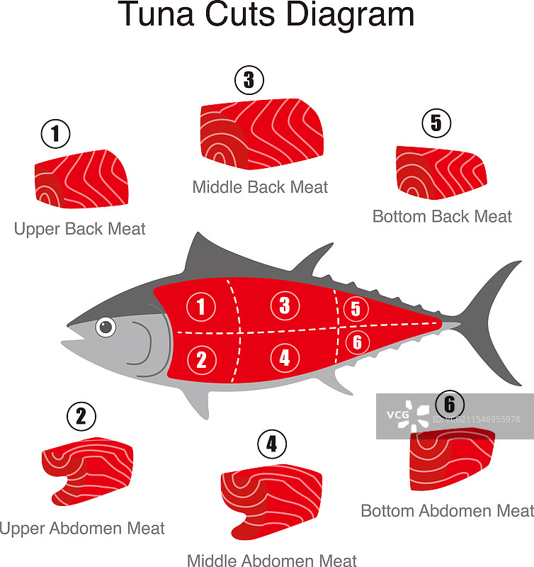 金枪鱼切割图解图片素材