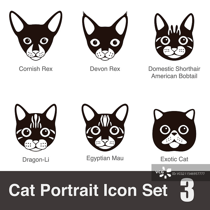 猫品种面孔卡通扁平黑色图标系列图片素材
