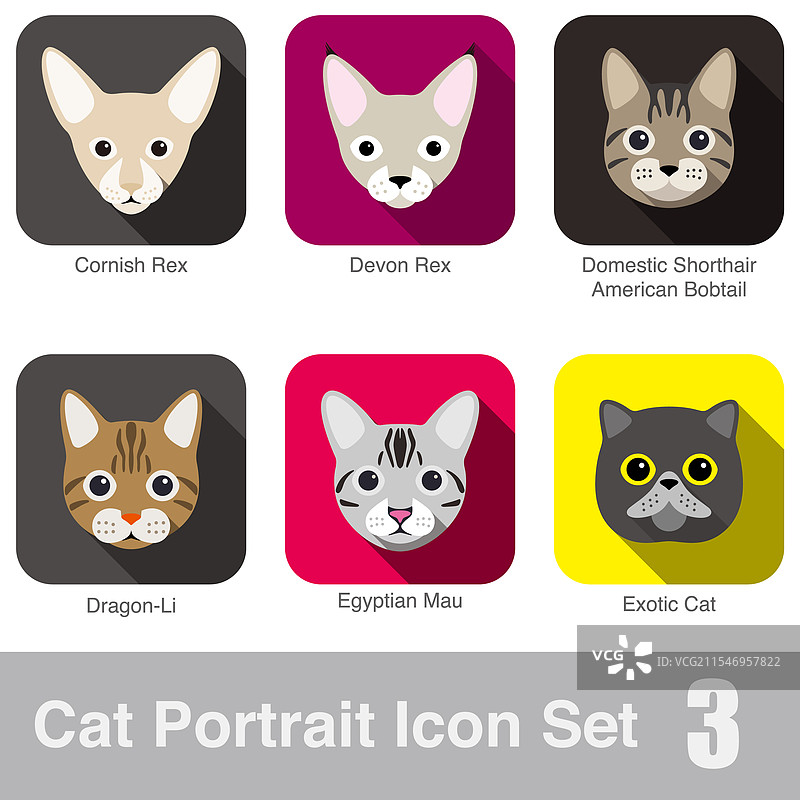 猫品种面孔卡通扁平图标设计图片素材