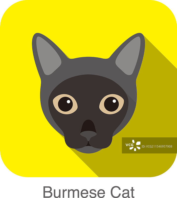 缅甸猫品种面孔卡通扁平图标图片素材