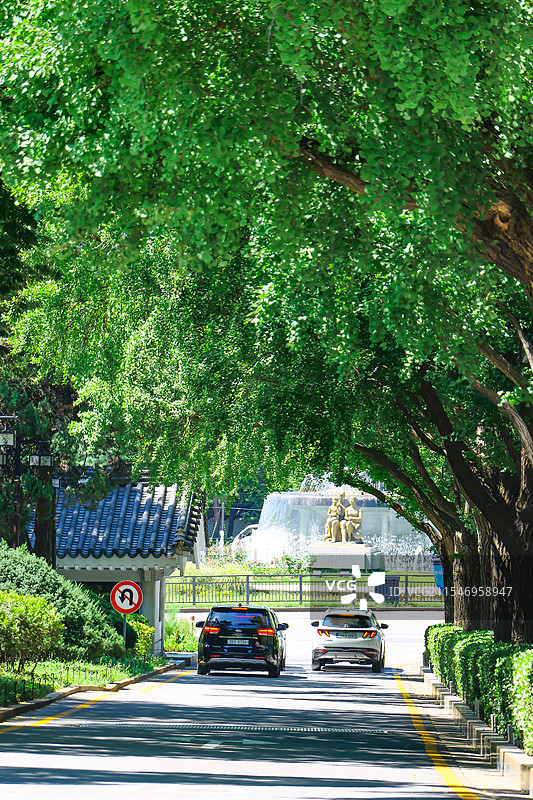 韩国 首尔 青瓦台图片素材