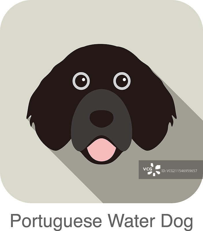 葡萄牙水犬面部肖像扁平图标图片素材