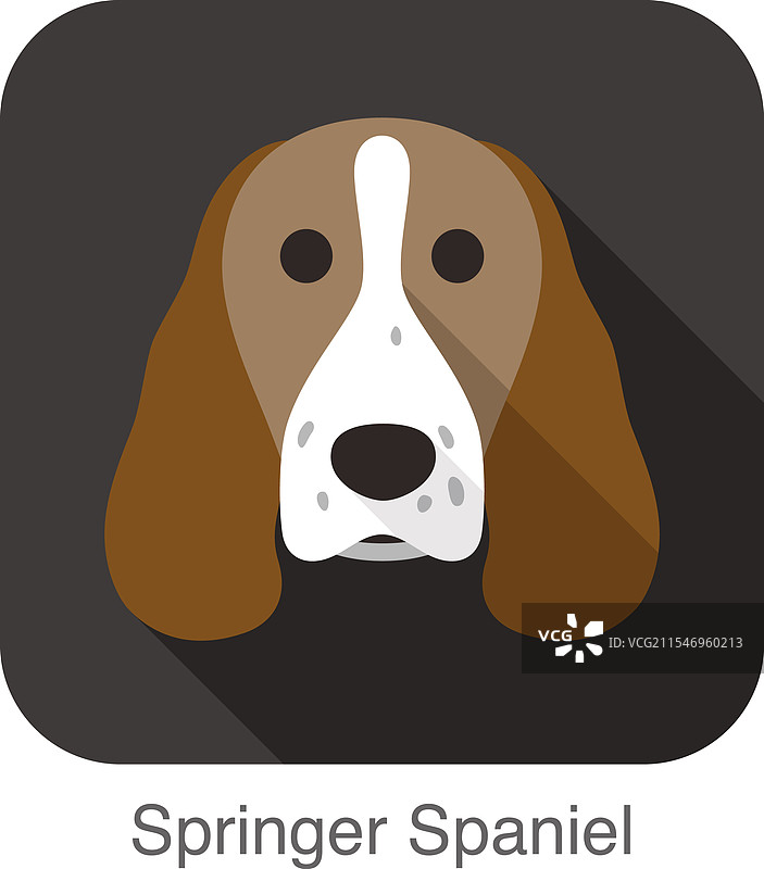 平面图标系列中的春田猎犬狗脸图片素材