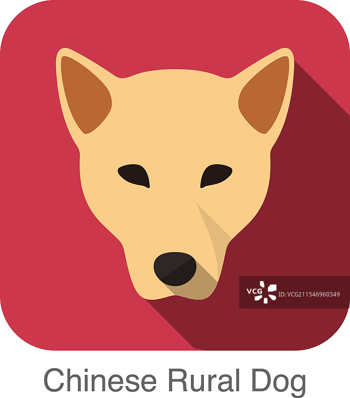 中国乡村狗脸扁平图标狗系列图片素材