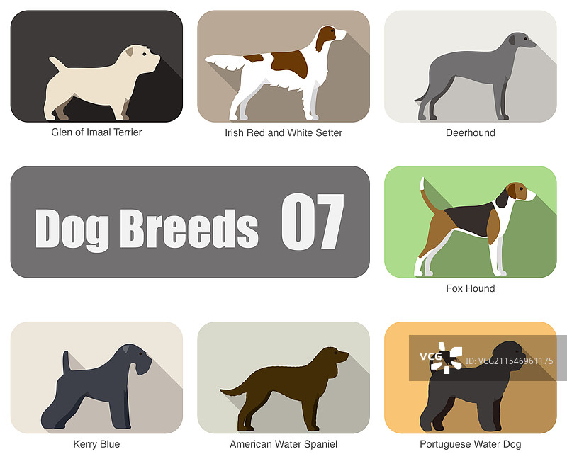 一组犬种平面图标设计图片素材