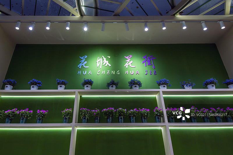 2025广州市北京路越秀西湖花市风光图片素材