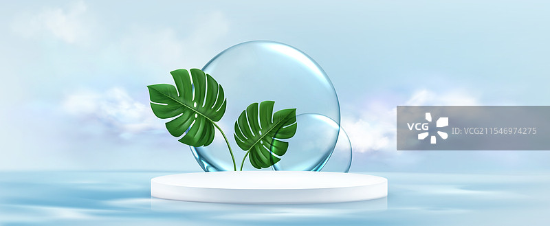 蓝色背景上的圆形讲台与龟背竹叶图片素材