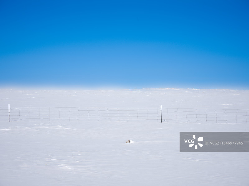 静谧雪地图片素材