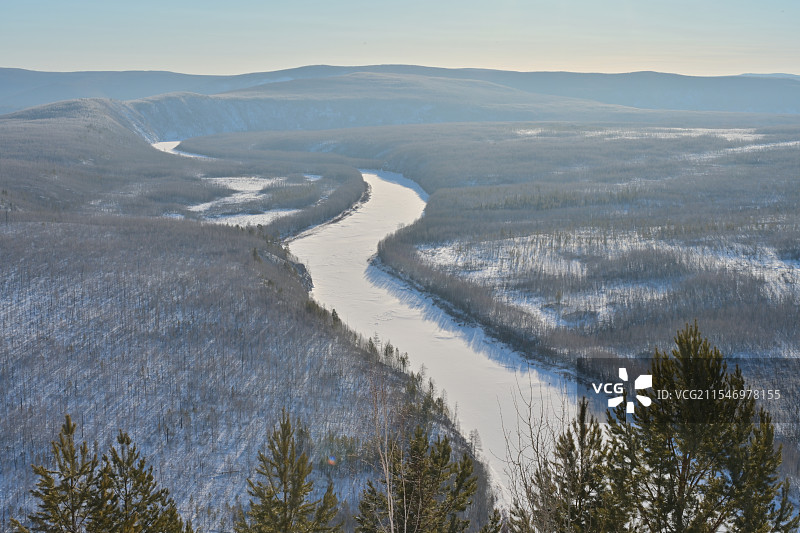 漠河白桦林龙江高视角俯瞰图片素材