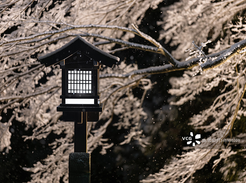 挂着雪的树枝前，有一盏日式灯图片素材