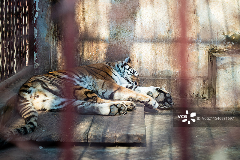 聊城阳谷景阳冈旅游区图片素材