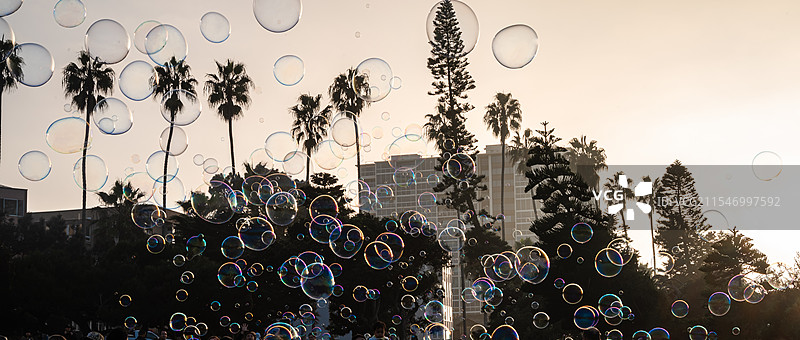 美国加州圣地亚哥La Jolla Cove海滩图片素材