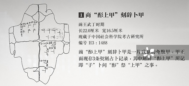商“酉彡上甲”刻辞卜甲 编号 H3:1488 商王武丁时期 中国社会科学院考古研究所图片素材