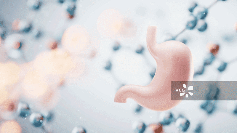 胃部与生物分子背景三维渲染图片素材