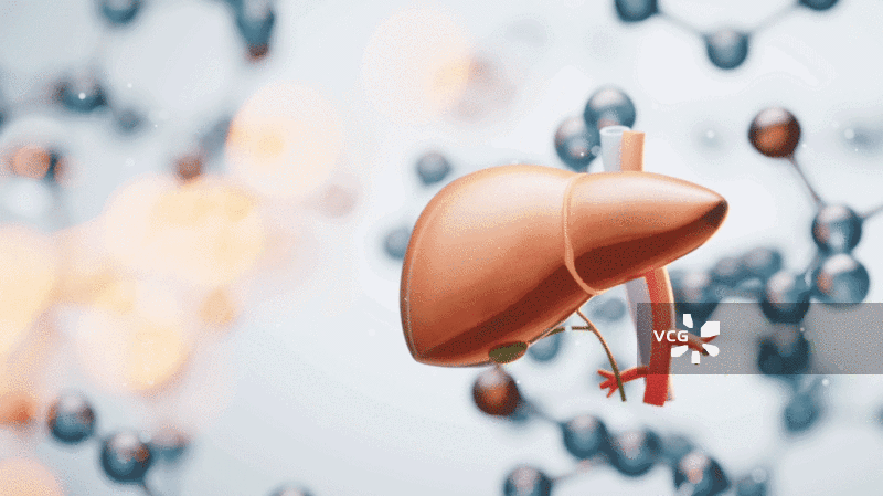 肝脏器官与生物分子背景三维渲染图片素材