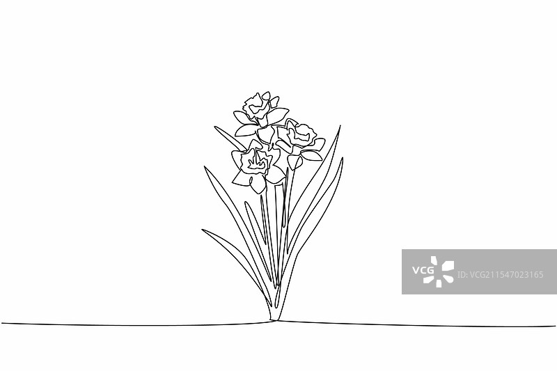 连续一笔画三根茎图片素材