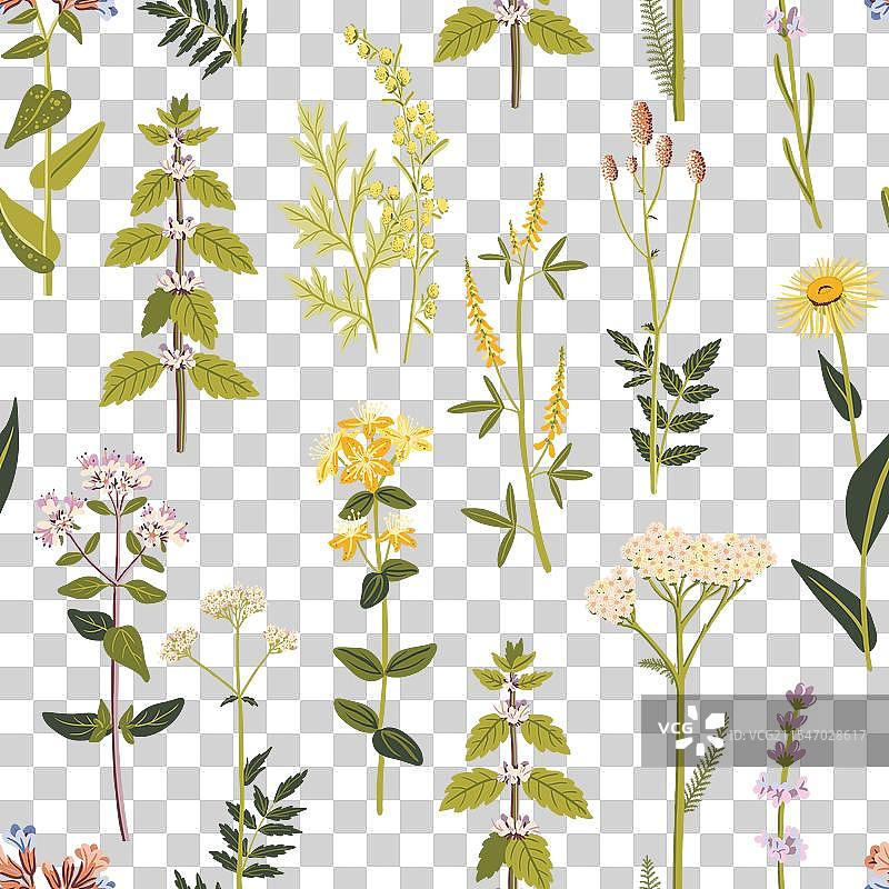 无缝花卉图案图片素材