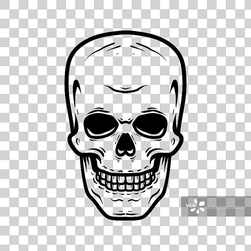 人类头骨素描着色线条艺术风格插图图片素材