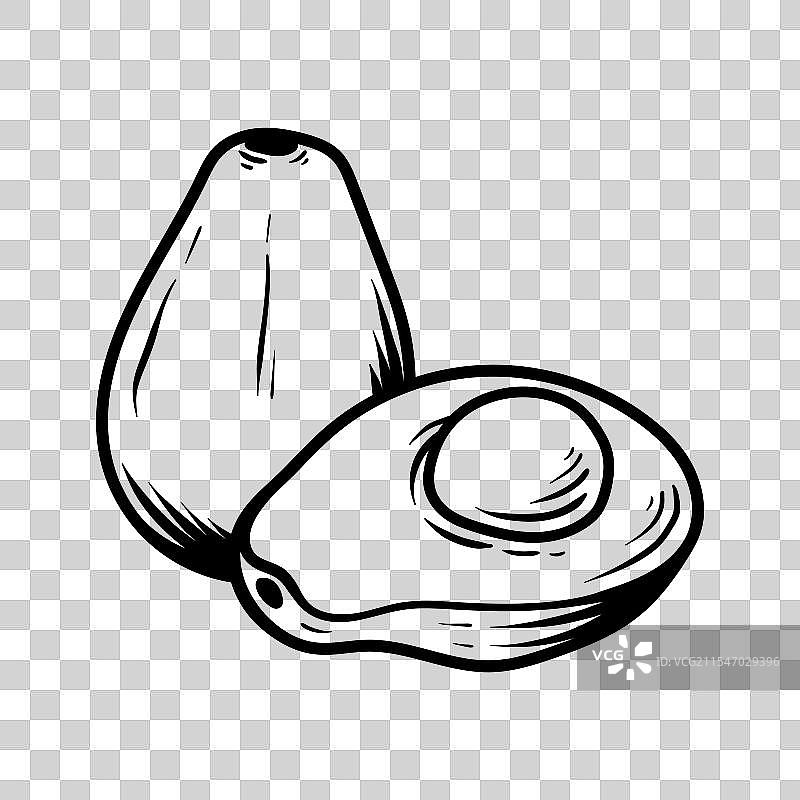 两只鳄梨的线条艺术风格绘画图片素材