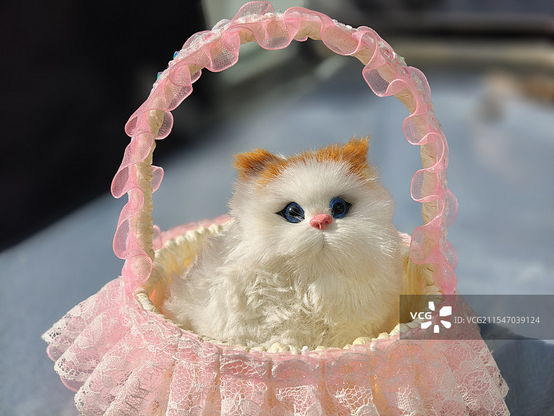 玩具布偶猫图片素材