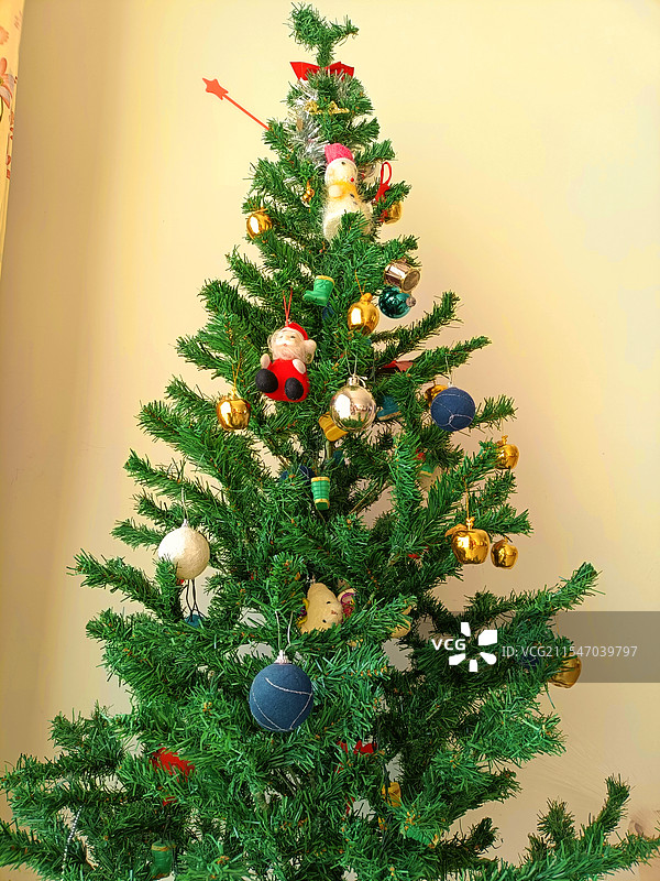 圣诞树图片素材